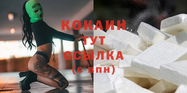 шишки Михайлов