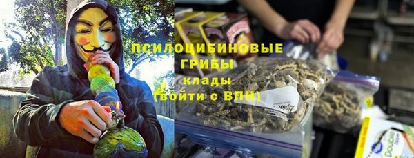 дмт Михайловск