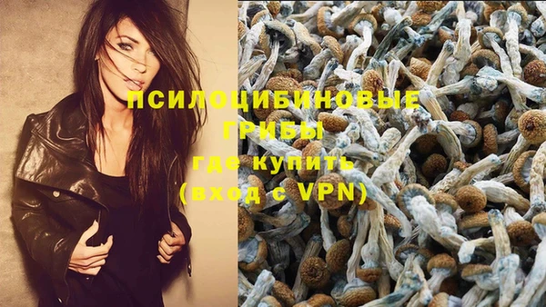 прущая мука Надым