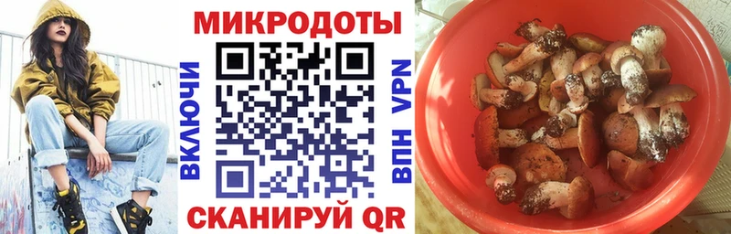 Галлюциногенные грибы GOLDEN TEACHER  Подпорожье 